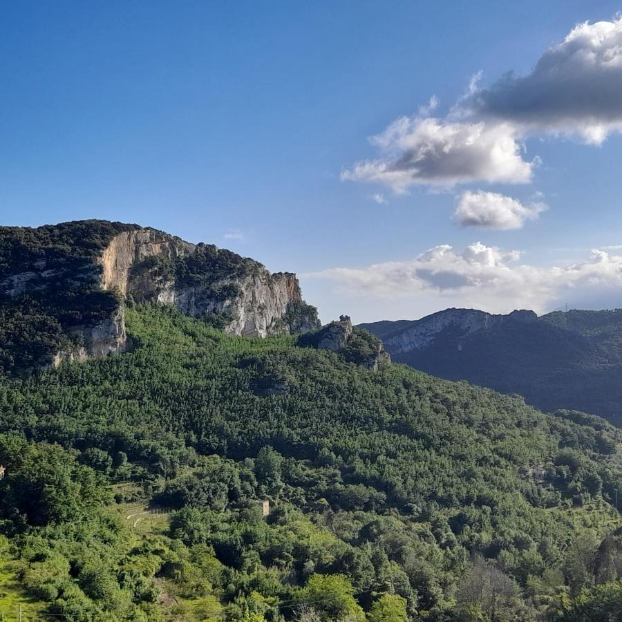 Affittacamere San Lorenzino 奥尔科费利诺 外观 照片